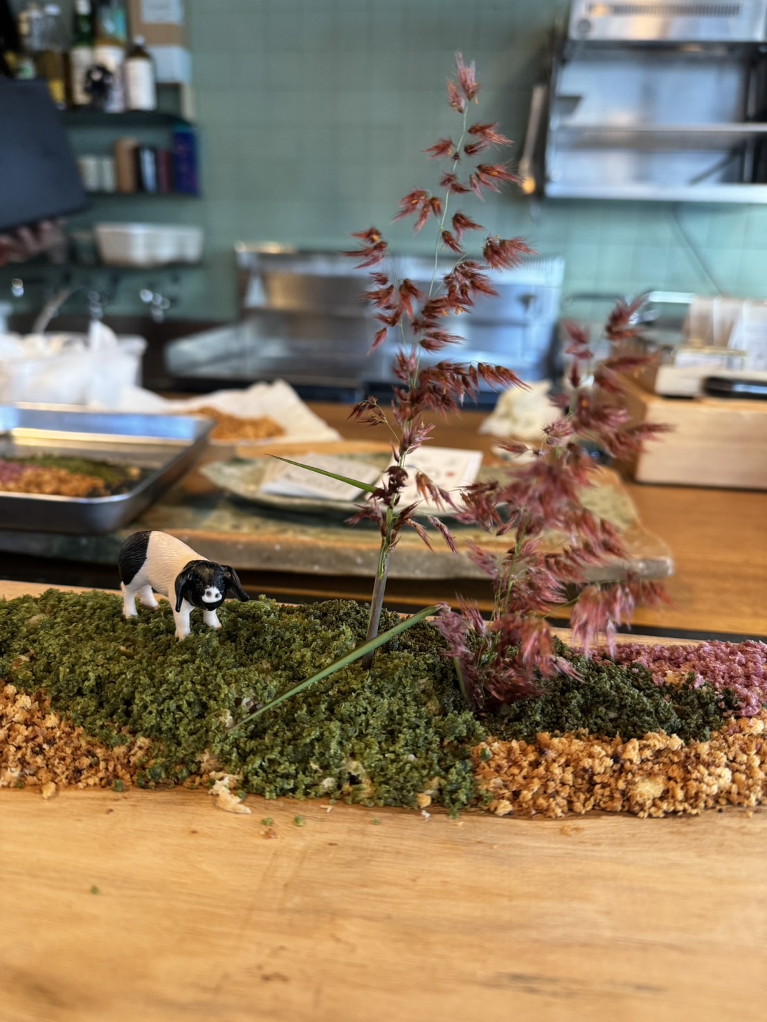 Event Display とんかつ康四郎様